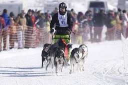 Lenk 2013